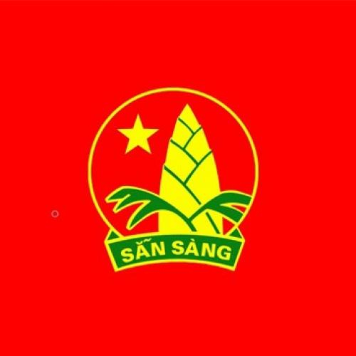 (Hoạt động) Tham gia lớp tập huấn Ban chỉ huy Liên đội thành phố Biên Hòa (năm 2022)